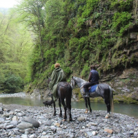 Конные прогулки